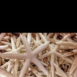 Meet your Posher, Dyan